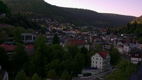 Webcam Bad Wildbad