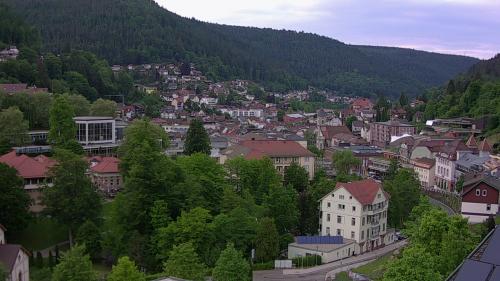 Webcam Bad Wildbad