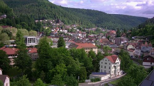 Webcam Bad Wildbad