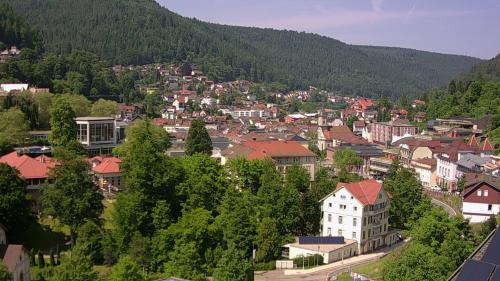 Webcam Bad Wildbad