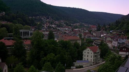 Webcam Bad Wildbad