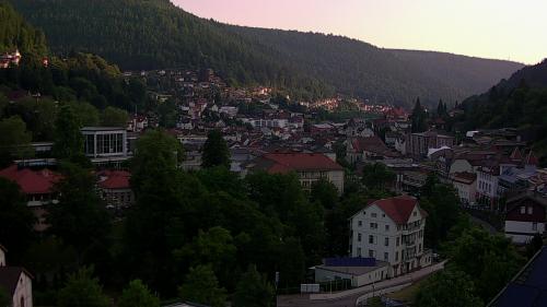 Webcam Bad Wildbad