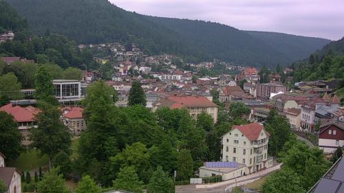 Webcam Bad Wildbad