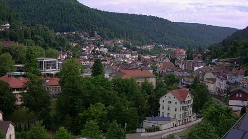 Webcam Bad Wildbad