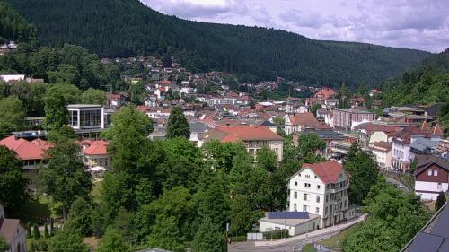 Webcam Bad Wildbad