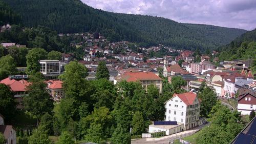 Webcam Bad Wildbad