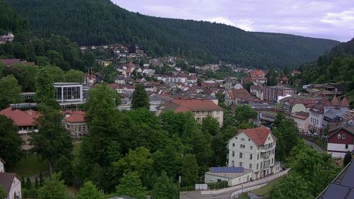 Webcam Bad Wildbad