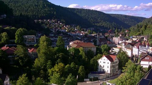 Webcam Bad Wildbad