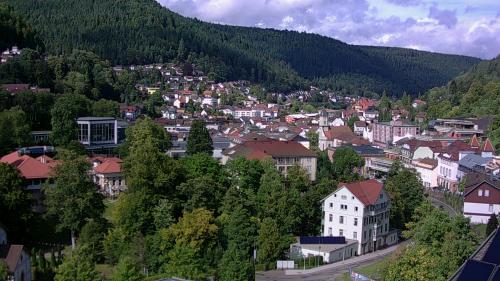 Webcam Bad Wildbad