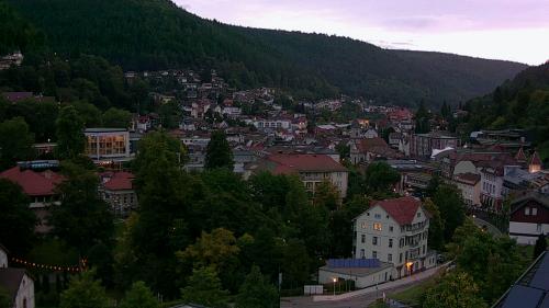 Webcam Bad Wildbad
