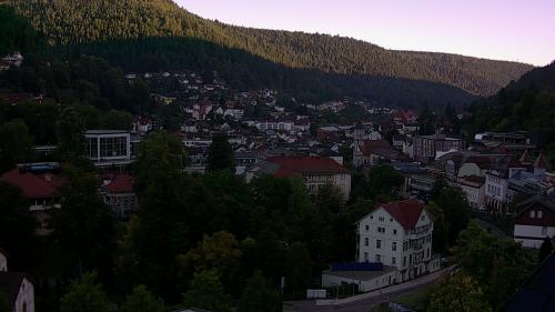 Webcam Bad Wildbad