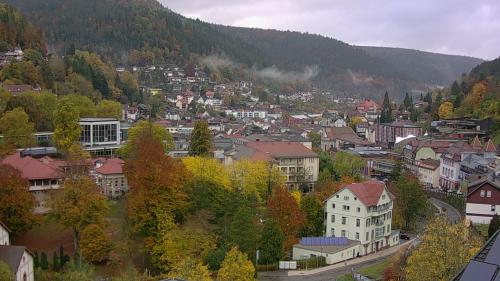 Webcam Bad Wildbad