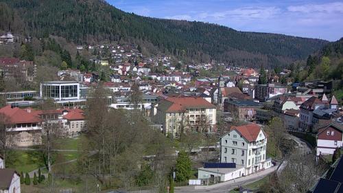 Webcam Bad Wildbad