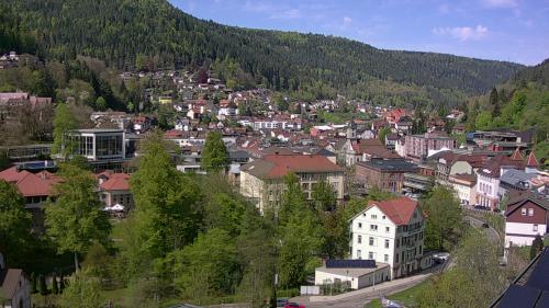 Webcam Bad Wildbad