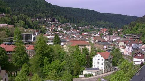 Webcam Bad Wildbad
