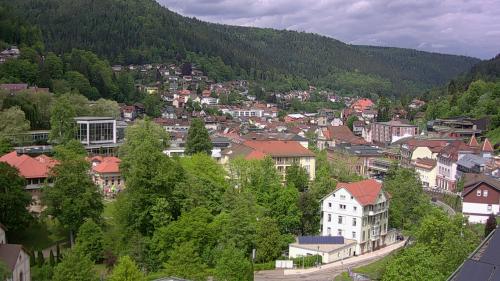 Webcam Bad Wildbad