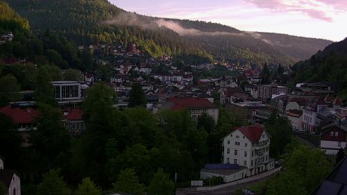 Webcam Bad Wildbad