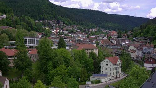 Webcam Bad Wildbad