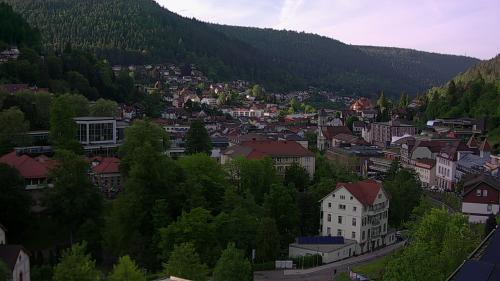 Webcam Bad Wildbad