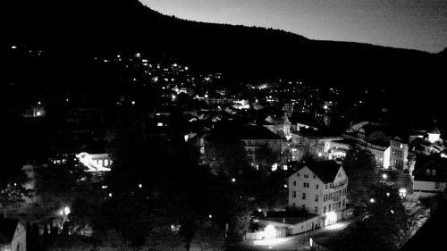 Webcam Bad Wildbad