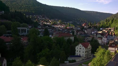 Webcam Bad Wildbad