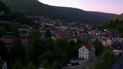 Webcam Bad Wildbad