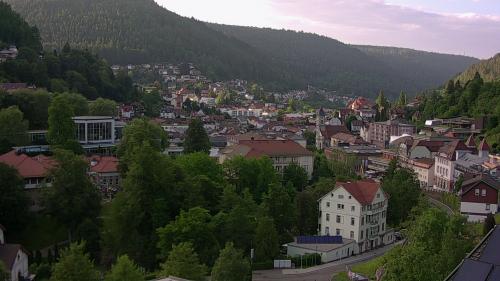 Webcam Bad Wildbad