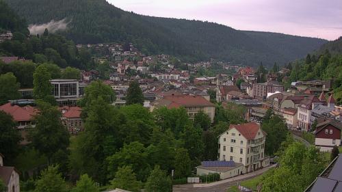 Webcam Bad Wildbad