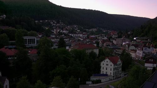 Webcam Bad Wildbad