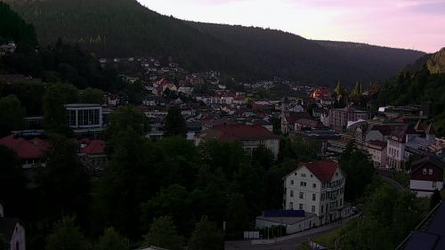 Webcam Bad Wildbad
