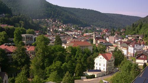 Webcam Bad Wildbad