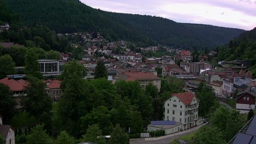 Webcam Bad Wildbad