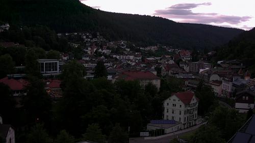 Webcam Bad Wildbad