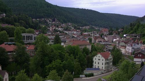 Webcam Bad Wildbad