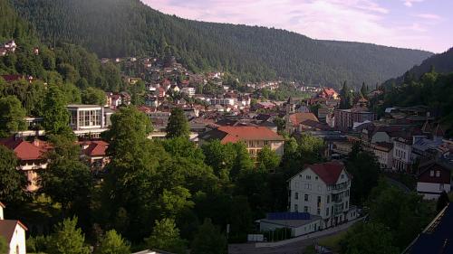 Webcam Bad Wildbad
