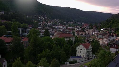 Webcam Bad Wildbad
