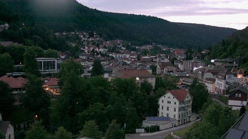 Webcam Bad Wildbad