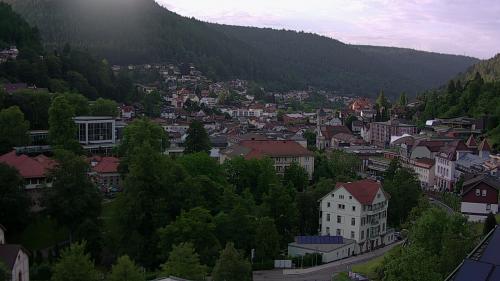 Webcam Bad Wildbad