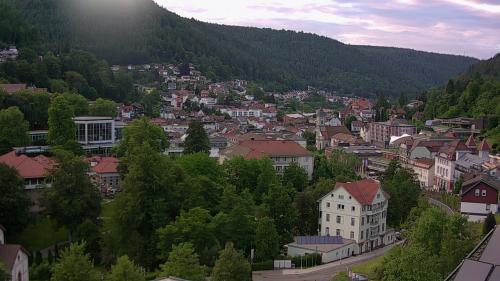 Webcam Bad Wildbad