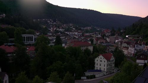 Webcam Bad Wildbad