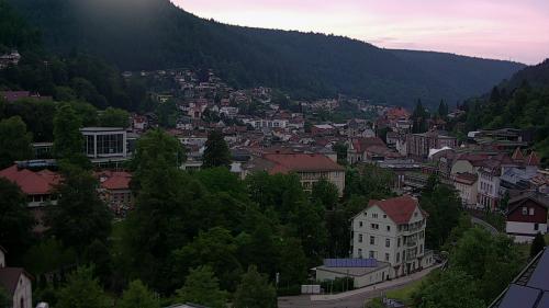 Webcam Bad Wildbad