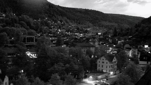 Webcam Bad Wildbad