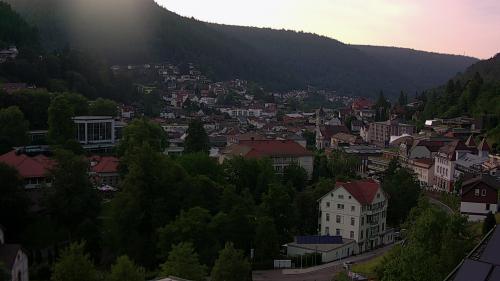 Webcam Bad Wildbad