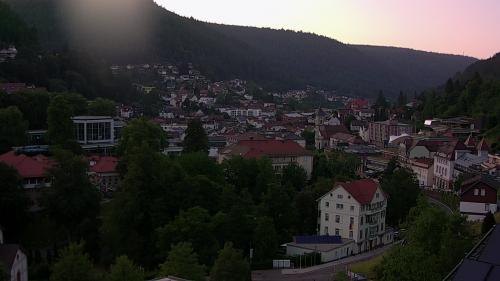 Webcam Bad Wildbad
