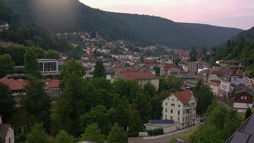 Webcam Bad Wildbad