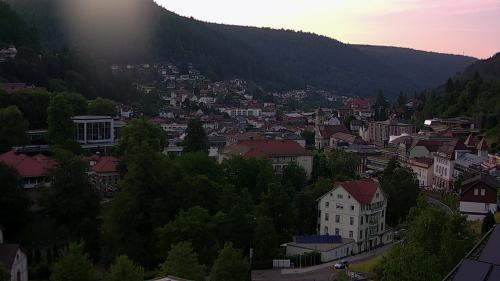 Webcam Bad Wildbad