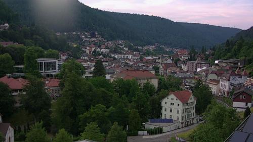 Webcam Bad Wildbad