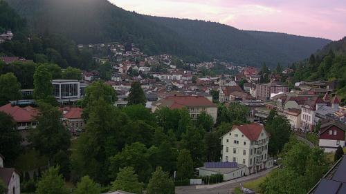 Webcam Bad Wildbad