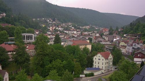 Webcam Bad Wildbad