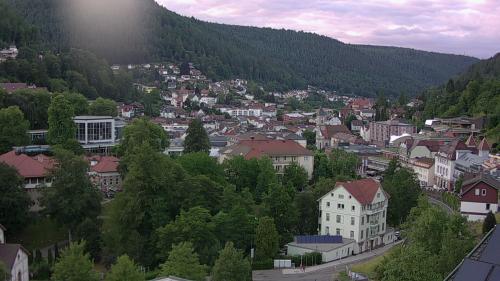Webcam Bad Wildbad